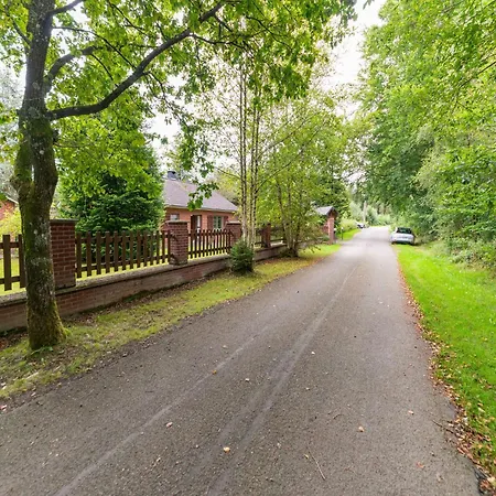 Stunning In (adults Only) * Recht